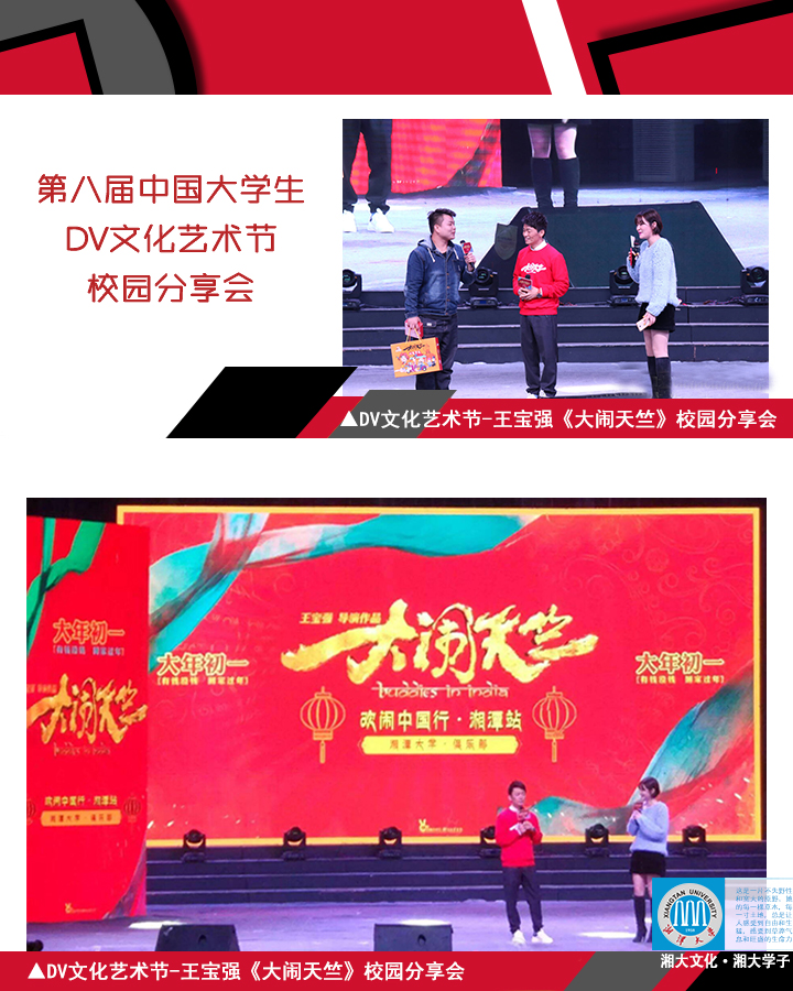 4. DV文化节品牌4.jpg